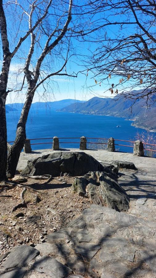 Casa Sassello - Appartamento Menta Dumenza ภายนอก รูปภาพ